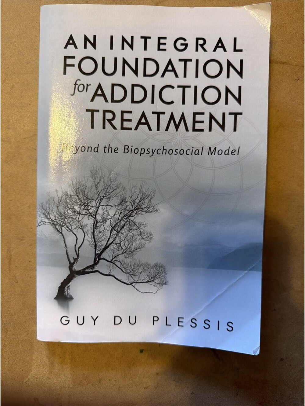 An Integral Foundation for Addiction Treatment: Beyond the Biopsychosocial